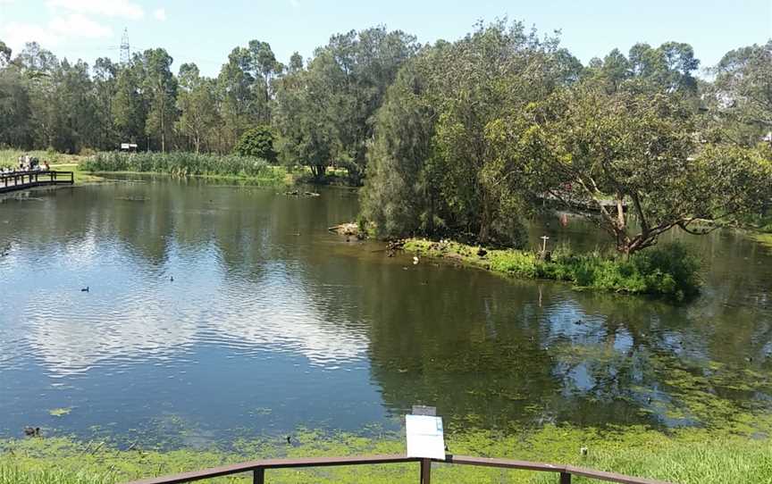 Spoonbill Cafe, Shortland, NSW