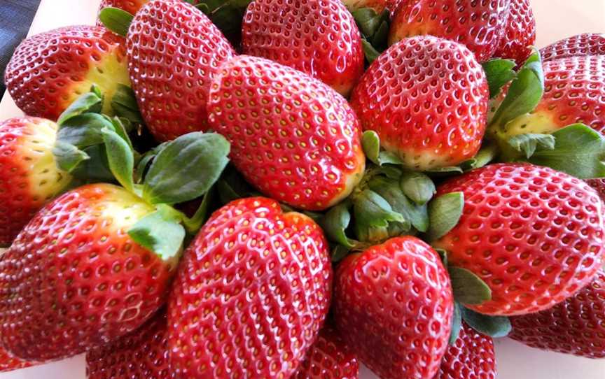 Strawberry View Coffee Shack, Bellmere, QLD