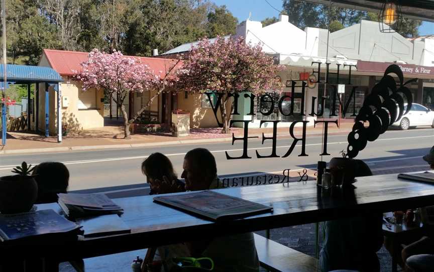 The Mulberry Tree, Bridgetown, WA