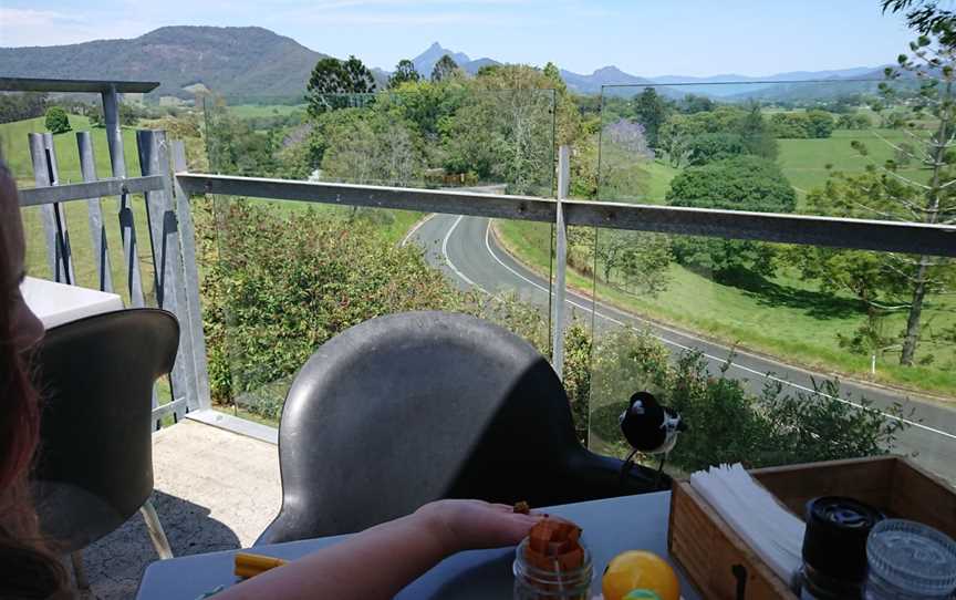 Tweed Gallery Cafe, South Murwillumbah, NSW