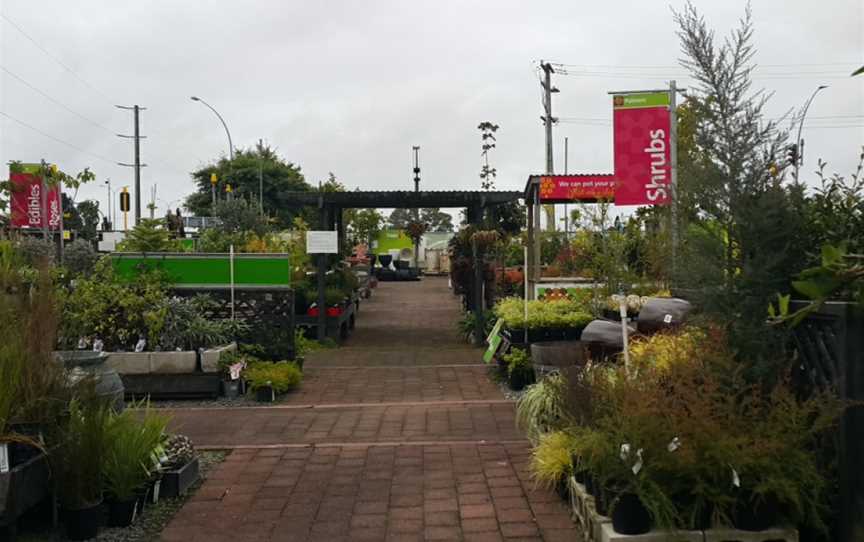 Cafe Botannix Welcome Bay, Hairini, New Zealand