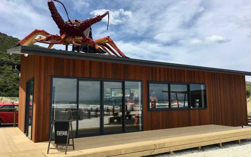 Karaka Lobster, Kaikoura, New Zealand