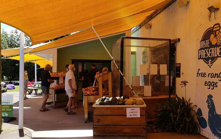 Taste Of Summer, Bay View, New Zealand