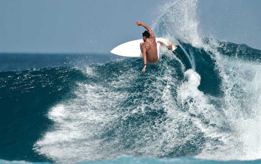 Surfing at Fencelines, Attractions in Gnaraloo