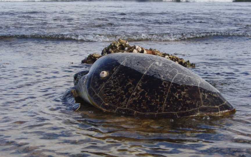 Barrow Island Marine Park