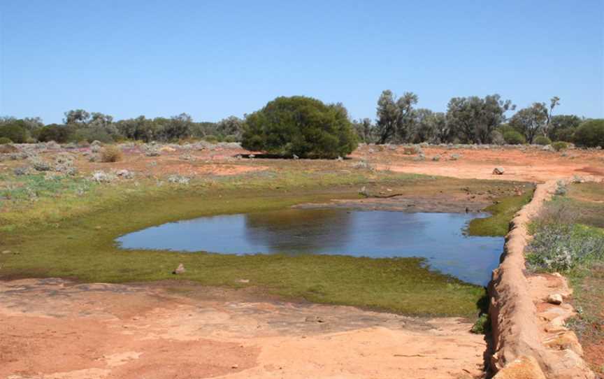 Goongarrie National Park