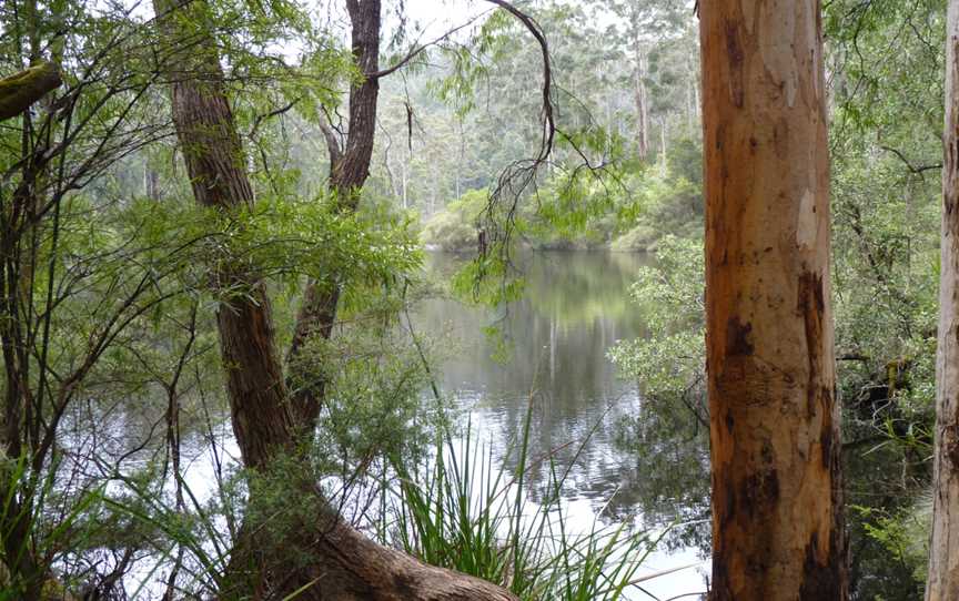 Shannon National Park