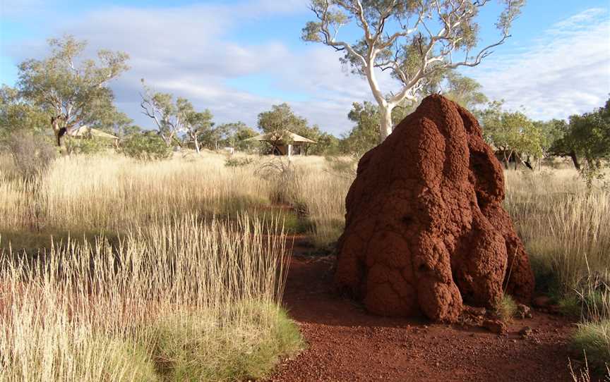 Karijini Eco Retreat