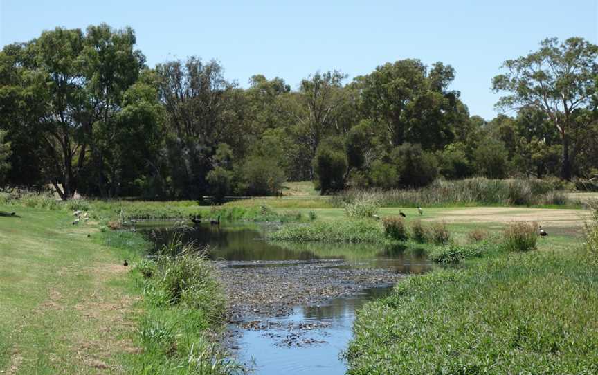 Floreat Lakes Foreshore