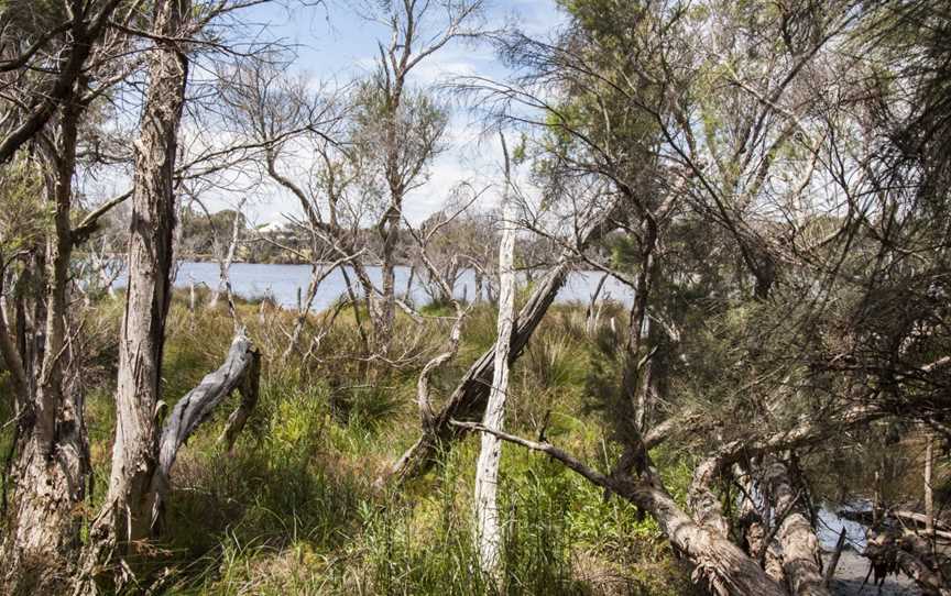 Baigup Wetland