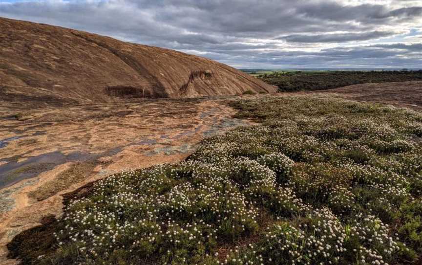 Yorkrakine Rock Nature Reserve, Attractions in North Tammin