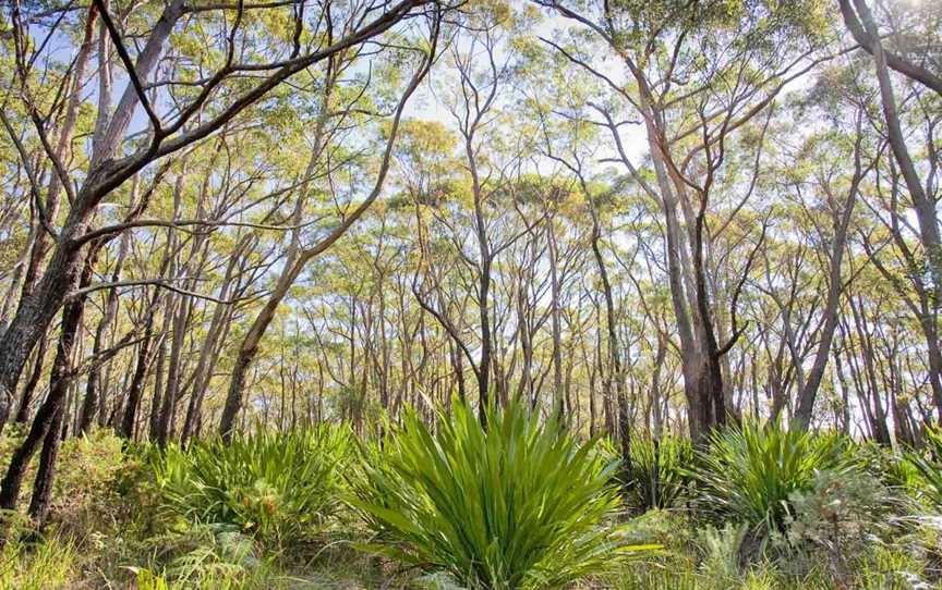 10B Cycling Trail, Wedderburn, NSW