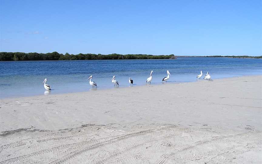 Acraman Creek Conservation Park, Smoky Bay, SA