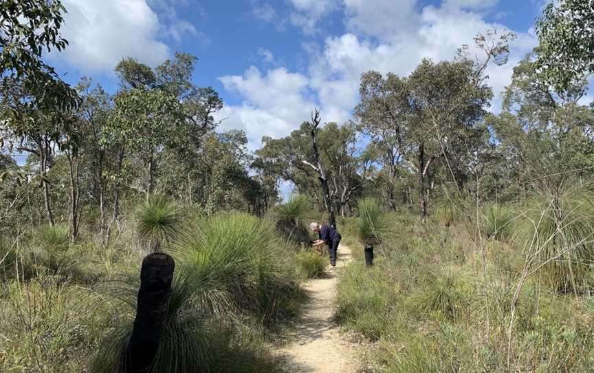 Ambergate Reserve, Chapman Hill, WA