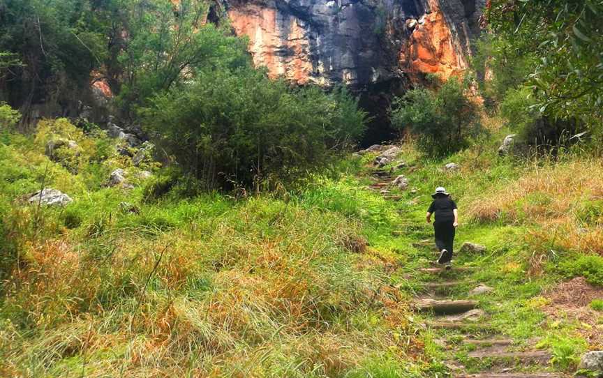 Arch Loop Track, Borenore, NSW