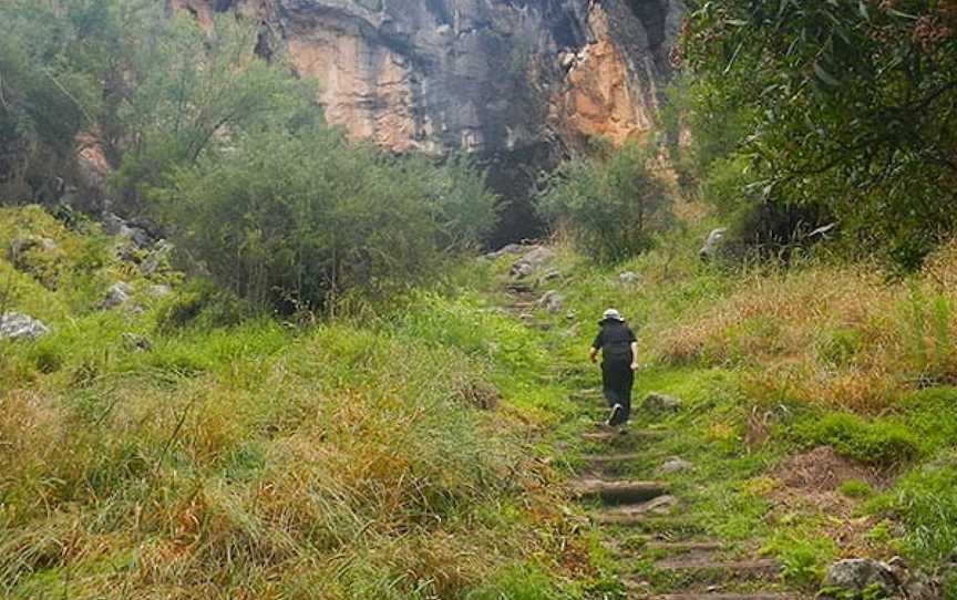 Arch Loop Track, Borenore, NSW