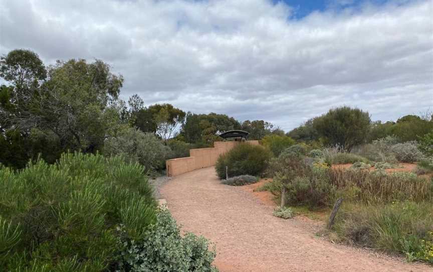 Australian Arid Lands Botanic Garden, Port Augusta West, SA