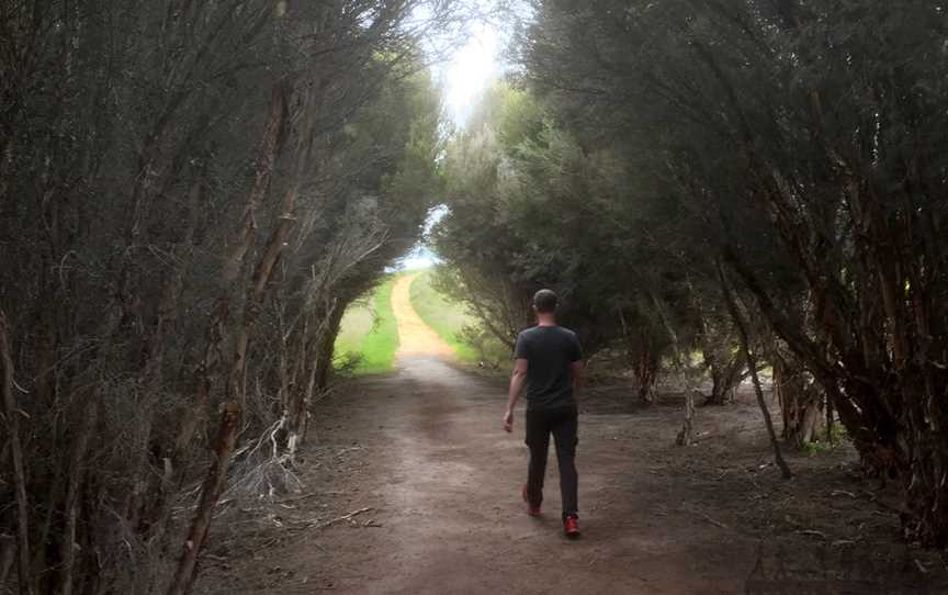 Bald Hill Walk - Cape Gantheaume Conservation Park, Macgillivray, SA