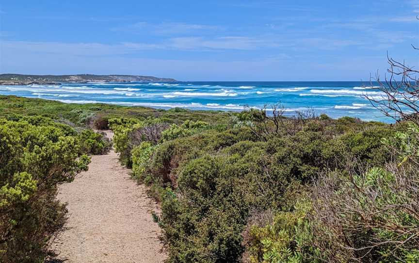 Bales Beach, Seal Bay, SA