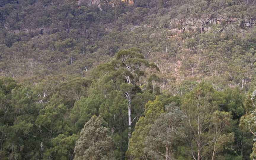 Bangadilly National Park, Joadja, NSW