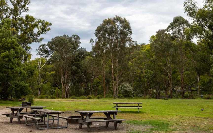 Banksia Park, Banksia Park, SA