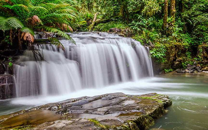 Barrington trail, Barrington Tops, NSW