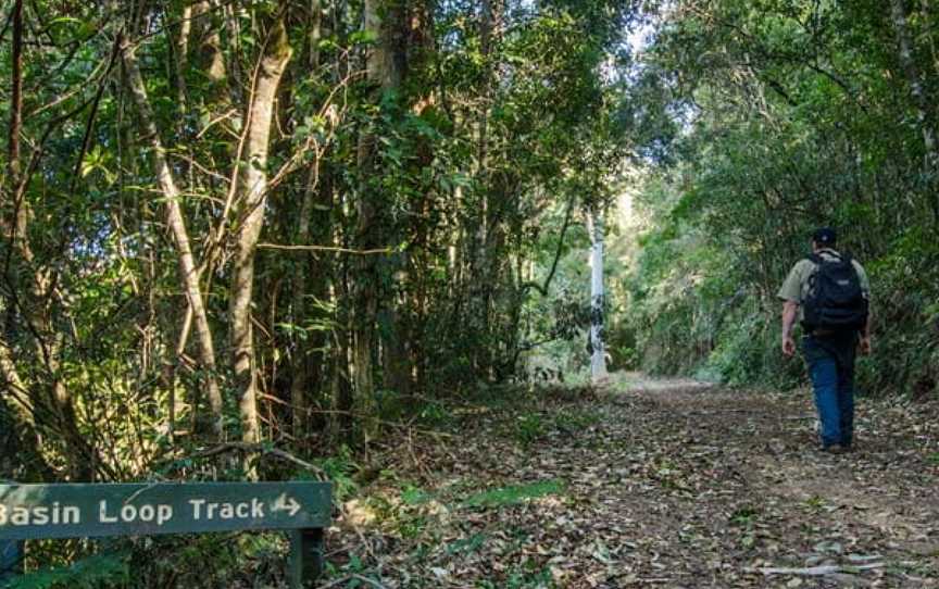 Basin Loop Track, Copeland, NSW