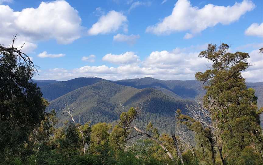 Baw Baw National Park, Baw Baw, VIC