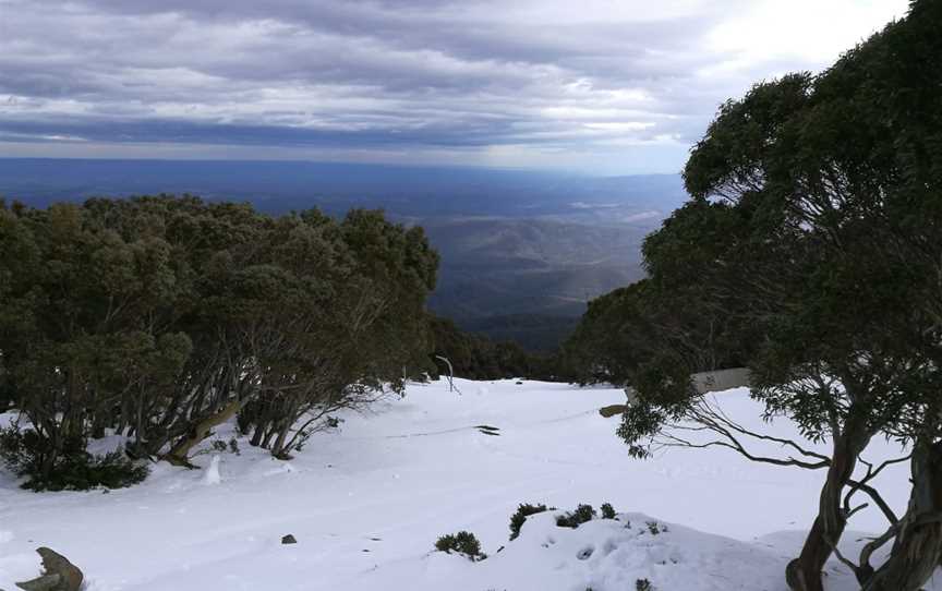 Baw Baw National Park, Nature & Trails in Baw Baw