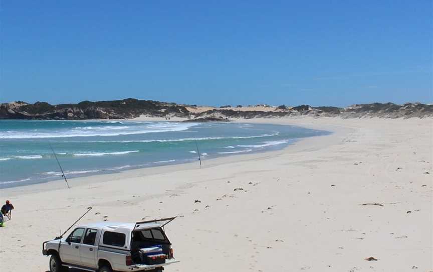 Beachport Conservation Park, Beachport, SA