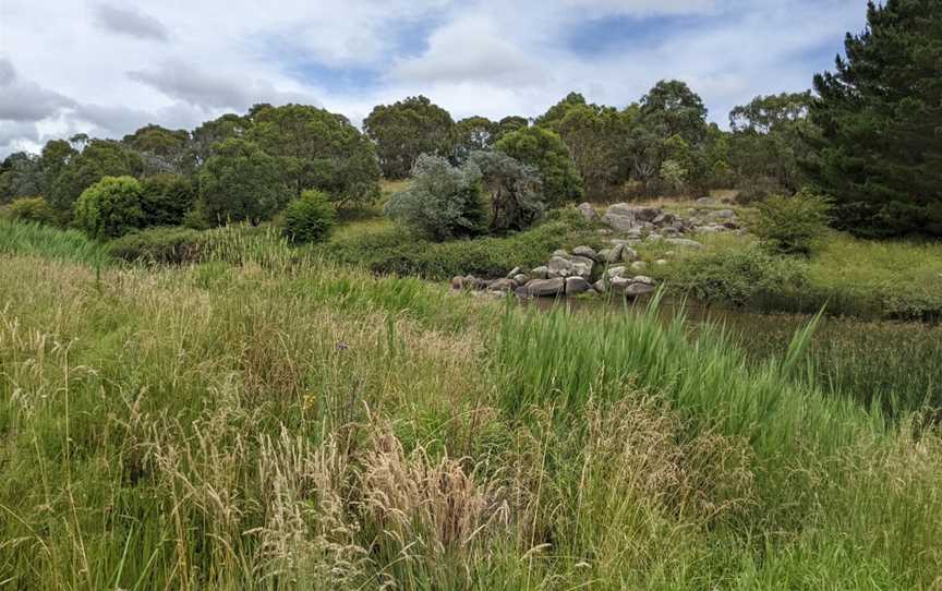 Beardy Waters Dam and Woodlands, Shannon Vale, NSW