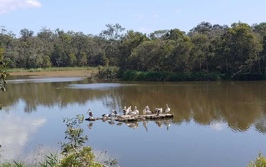 Berrinba Wetlands, Browns Plains, QLD