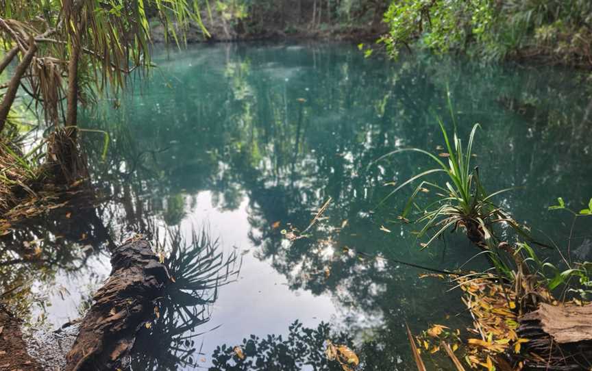 Berry Springs Nature Park, Berry Springs, NT