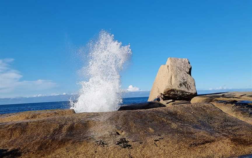 Bicheno Blowhole - East Coast Whale Trail, Bicheno, TAS