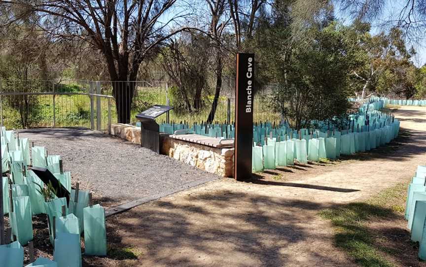 Blanche Cave, Joanna, SA