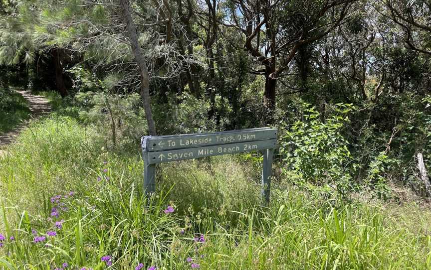 Booti Hill and Wallis Lake Walking Track, Booti Booti, NSW