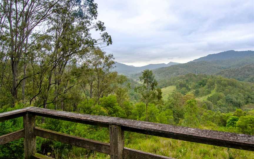 Border Loop Walk, Cougal, NSW