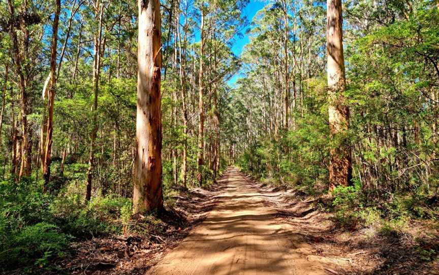 Bornanup Drive, Boranup, WA