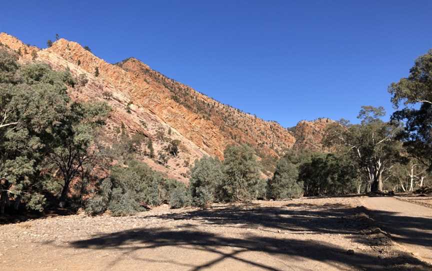 Brachina Gorge Geological Trail, Flinders Ranges, SA