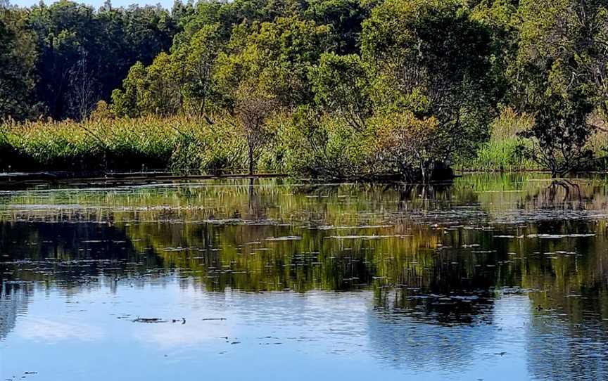 Buckley's Hole Conservation Park, Bongaree, QLD