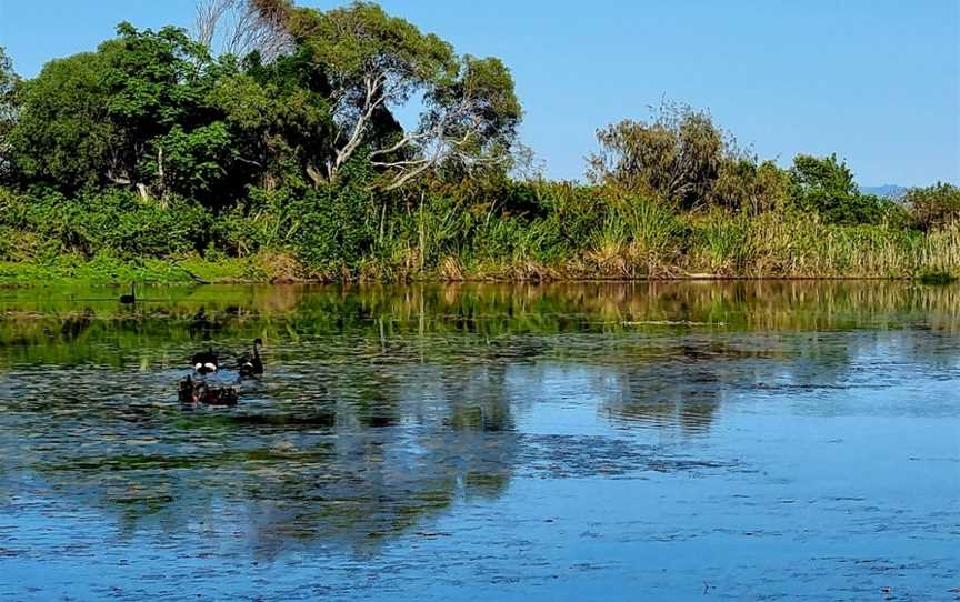 Buckley's Hole Conservation Park, Bongaree, QLD