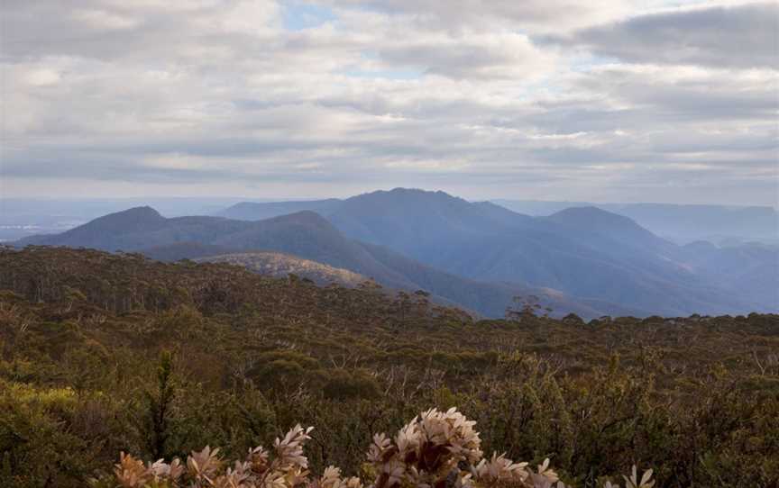 Budawang National Park, Budawang, NSW