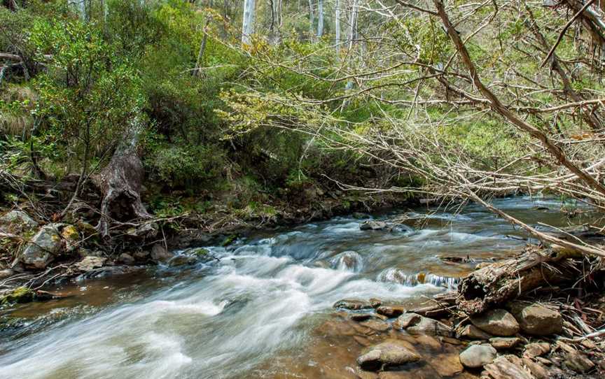 Buddong Falls Walking Track, Buddong, NSW