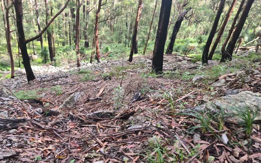 Bulahdelah Mountain Aboriginal Place, Bulahdelah, NSW