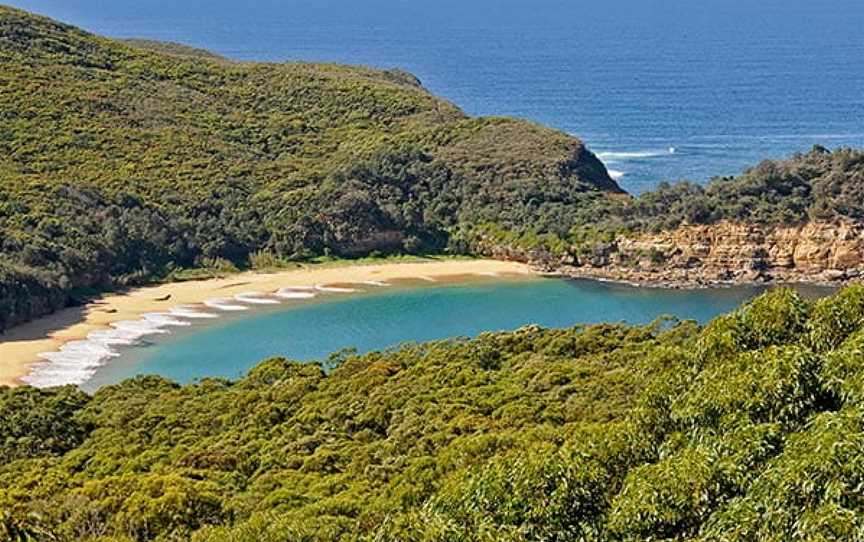 Bullimah Spur Track, Killcare Heights, NSW