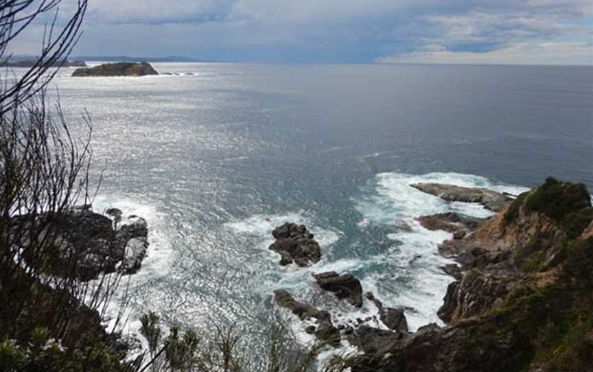 Burrewarra Point Banksia Walk, Guerilla Bay, NSW