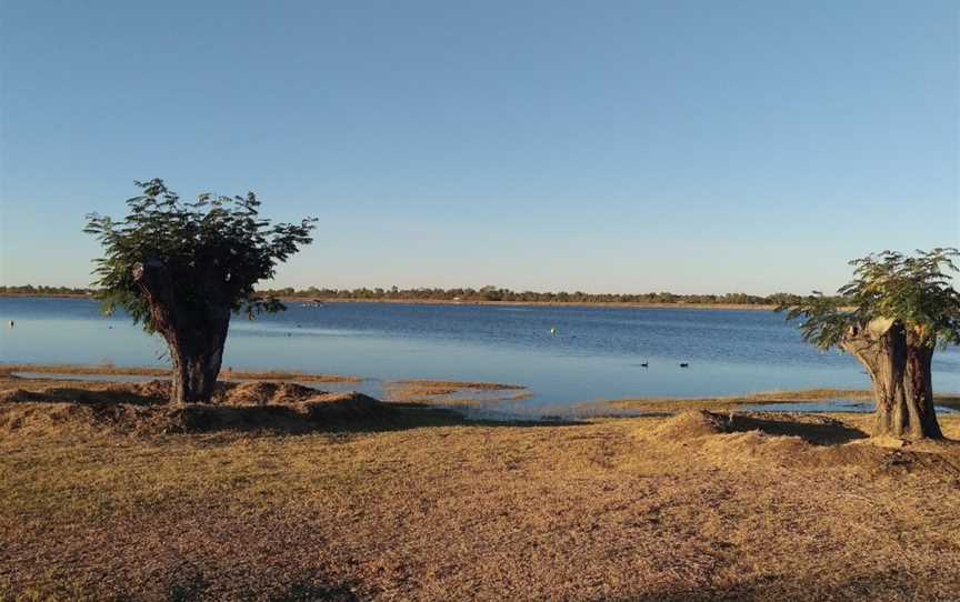 Bush Tucker Garden, Richmond, QLD