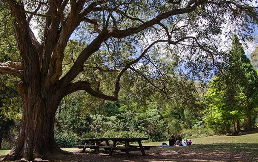 Byarong Park picnic area, Mount Keira, NSW