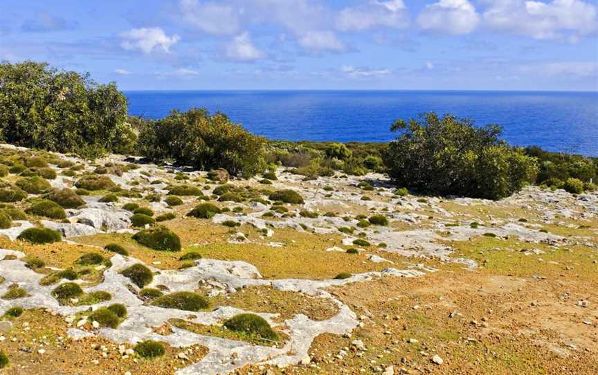 Cape Borda Lightstation - Flinders Chase National Park, Cape Borda, SA