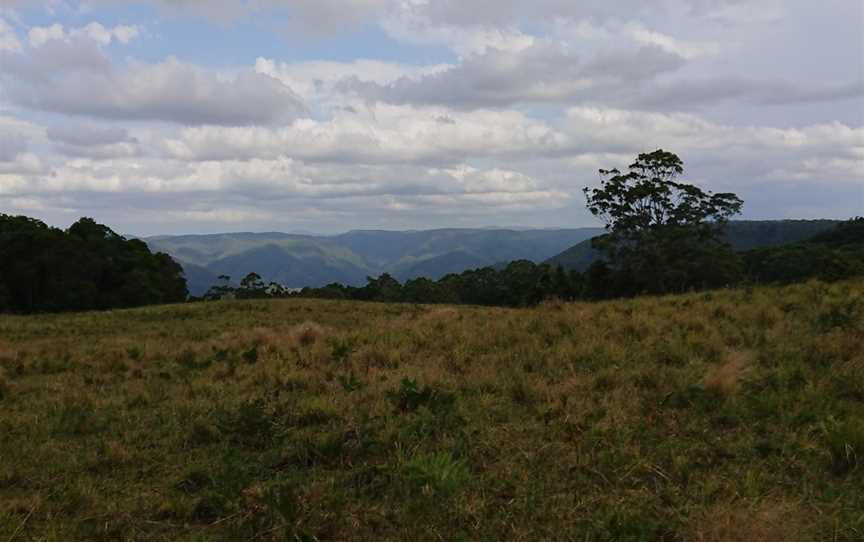 Carrai National Park, Walcha, NSW